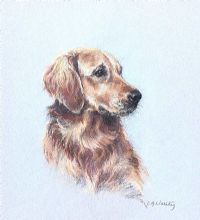 RETREIVER by Claire Verity at Ross's Online Art Auctions