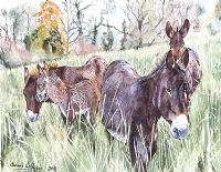 DONKEYS AT LOUGH MEELAGH by Cormac Cullinan at Ross's Online Art Auctions