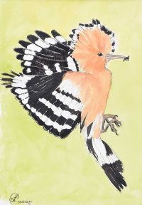 HOOPOE by Lynda Cookson at Ross's Online Art Auctions