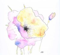 POPPY FLOWER by Irish School at Ross's Online Art Auctions