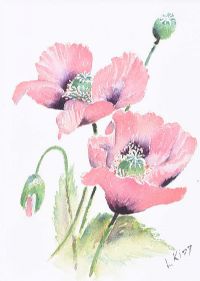 STILL LIFE, PINK POPPIES by Lorraine Kidd at Ross's Online Art Auctions