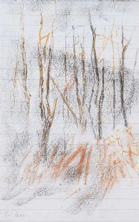 BIRCH TREES by Tom Carr HRHA HRUA at Ross's Online Art Auctions