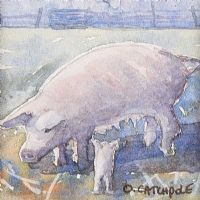 PIGS by Oonagh Catchpole at Ross's Online Art Auctions