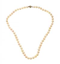 STRAND CULTURED PEARLS WITH 9CT GOLD CLASP at Ross's Online Art Auctions