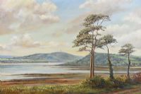 SCRABO TOWER ACROSS STRANGFORD LOUGH by Vittorio Cerefice at Ross's Online Art Auctions