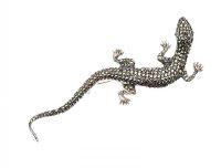 SILVER SALAMANDER SET WITH MARCASITE at Ross's Online Art Auctions