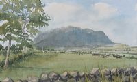 CATTLE GRAZING NEAR SLEMISH by Suzanne Forth at Ross's Online Art Auctions