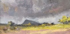 MUCKISH MOUNTAIN FROM ARDS FOREST PARK by Jim Holmes at Ross's Online Art Auctions