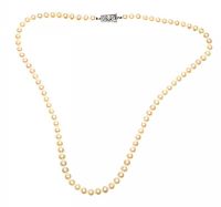 MIKIMOTO STRAND OF PEARLS at Ross's Online Art Auctions