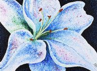 LILY by Hannah Crockard at Ross's Online Art Auctions