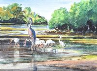 STORKS AT THE WATER'S EDGE by Coralie de Burgh Kinahan at Ross's Online Art Auctions