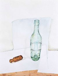 BOTTLES FROM MY GARDEN by Cormac Cullinan at Ross's Online Art Auctions