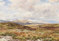 BY MOUNTAIN & MOORLAND (SNOWDON IN THE DISTANCE) by Edmund Morison Wimperis RI at Ross's Online Art Auctions