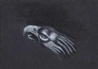 HEAD OF AN EAGLE by Patsy Farrell at Ross's Online Art Auctions