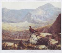 IRISH RED GROUSE, MACGILLYCUDDY'S ROCKS COUNTY KERRY by Julian Friers RUA at Ross's Online Art Auctions
