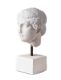 ROMAN HEAD by Irish School at Ross's Online Art Auctions