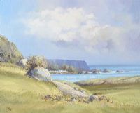 PORTBRADDEN FROM WHITEPARK BAY by Danny Todd at Ross's Online Art Auctions