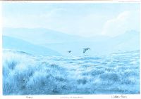 IRISH RED GROUSE, MOURNE MOUNTAINS, COUNTY DOWN by Julian Friers RUA at Ross's Online Art Auctions