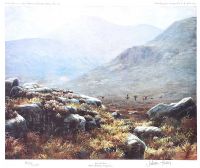 IRISH RED GROUSE, MOURNE MOUNTAINS, COUNTY DONEGAL by Julian Friers RUA at Ross's Online Art Auctions