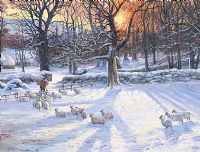 WINTER SHEEP by William Yeaman at Ross's Online Art Auctions
