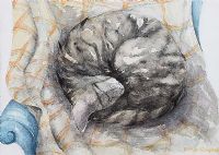 SLEEPING CAT ON A CHAIR by Arthur Campbell ARUA at Ross's Online Art Auctions