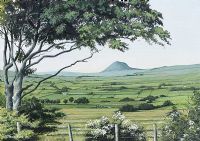 SLEMISH FROM GLENWHIRRY by Dr George B. Thompson at Ross's Online Art Auctions