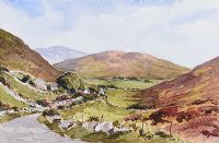 COTTAGES HORN HEAD by D. McCracken at Ross's Online Art Auctions