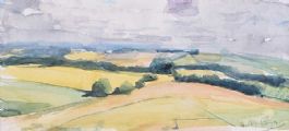 COUNTY DOWN LANDSCAPE by Hilary Bryson at Ross's Online Art Auctions