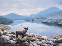 HIGHLAND STAG by Julian Friers RUA at Ross's Online Art Auctions