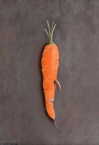 CARROT STUDY by Kevin Meehan at Ross's Online Art Auctions