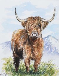 HIGHLAND BULL by Andy Saunders at Ross's Online Art Auctions