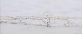 VIEW ACROSS THE LOUGH by Amanda McIlwain at Ross's Online Art Auctions