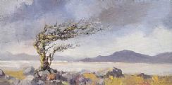 FAIRY THORN, COUNTY DONEGAL by Jim Holmes at Ross's Online Art Auctions