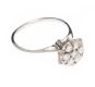 14CT WHITE GOLD DIAMOND CLUSTER RING at Ross's Online Art Auctions