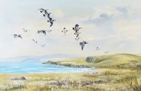 FLIGHT OVER RATHLIN by Charles MacAuley at Ross's Online Art Auctions