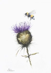 THISTLE & BUMBLE BEE by Lawrence Chambers at Ross's Online Art Auctions