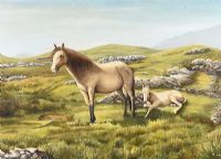MARE & FOAL by Irish School at Ross's Online Art Auctions