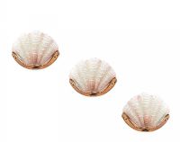 THREE SCALLOP SHELL WALL LIGHTS at Ross's Online Art Auctions