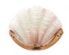 THREE SCALLOP SHELL WALL LIGHTS at Ross's Online Art Auctions