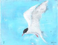 ARTIC TERN by Jeff Adams at Ross's Online Art Auctions