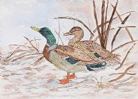 MALLARDS by W. Heaney at Ross's Online Art Auctions
