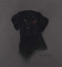 STUDY OF A LABRADOR by Carolyn Alexander at Ross's Online Art Auctions