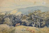 THE COLLIN MOUNTAIN NEAR BELFAST by Hugh Thomson at Ross's Online Art Auctions