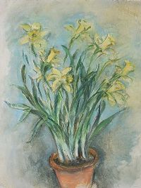 DAFFODILS by Stella Steyn at Ross's Online Art Auctions