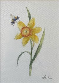 BUMBLE BEE & DAFFODIL by Lawrence Chambers at Ross's Online Art Auctions