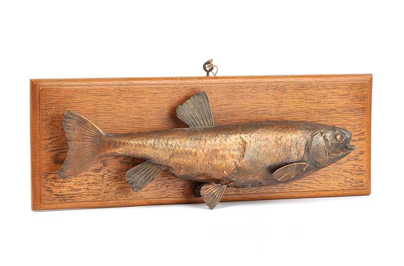 FISH SPECIMEN at Ross's Online Art Auctions