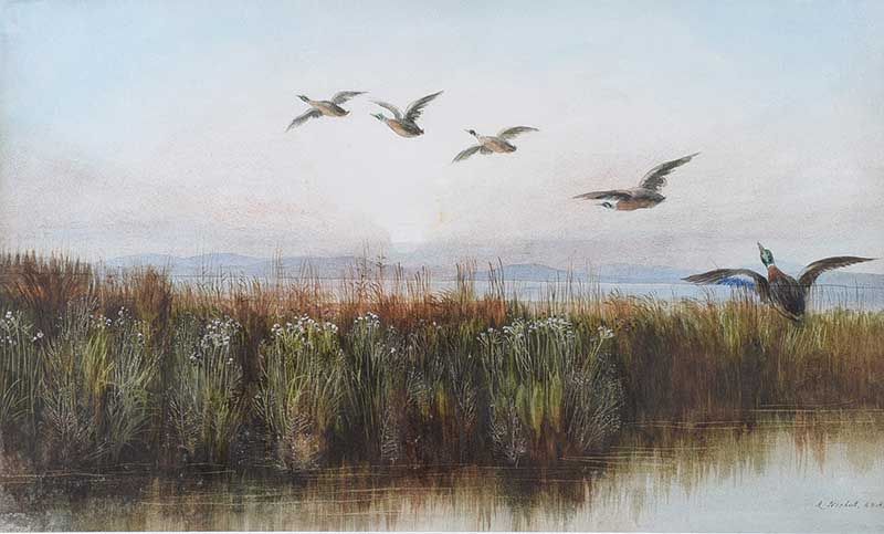 DUCKS OVER WETLANDS by Andrew Nicholl RHA at Ross's Online Art Auctions