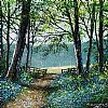 BLUEBELL PATH by Andy Saunders at Ross's Online Art Auctions