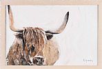 HIGHLAND COW by K. HAMILTON at Ross's Online Art Auctions