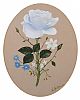 STILL LIFE, WHITE ROSE by William Huston at Ross's Online Art Auctions
